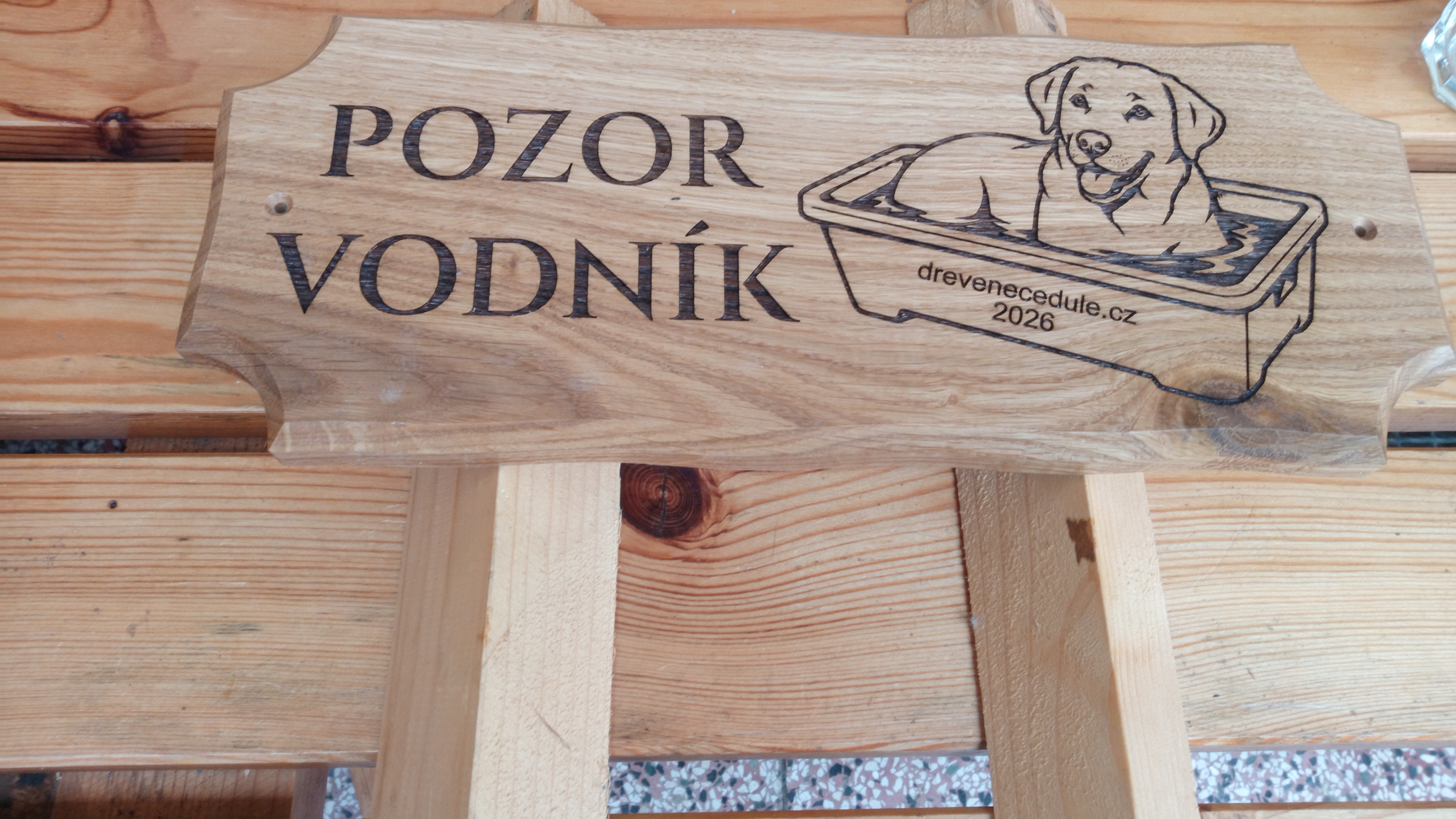 Dubová cedulka Pozor vodník s gravírovaným obrázkem labradorky Rey